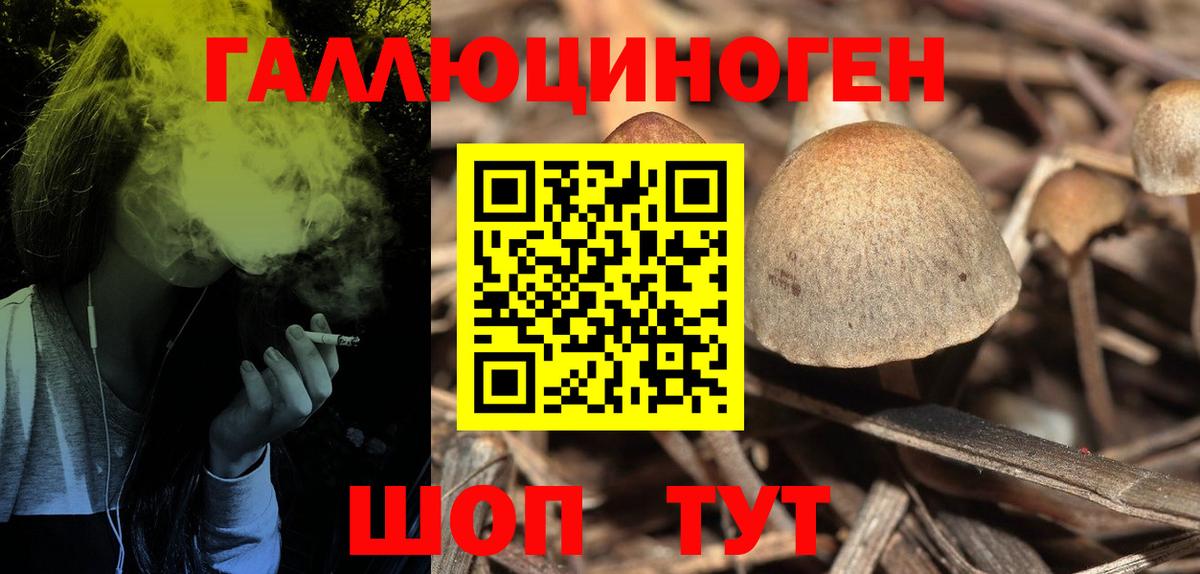 Галлюциногенные грибы мухоморы  Вход с VPN  Дзержинск  Псилоцибиновые грибы Psilocybine cubensis 